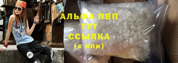 PSILOCYBIN Ладушкин