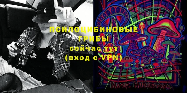 PSILOCYBIN Ладушкин