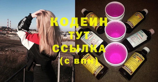 бошки Лабытнанги