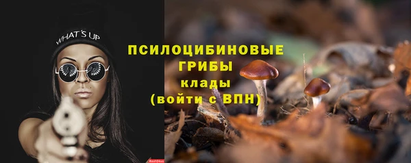 бошки Лабытнанги