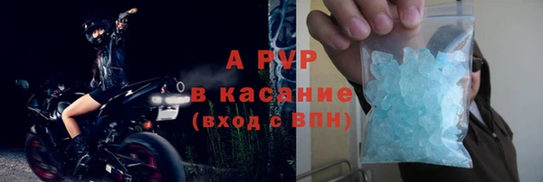 PSILOCYBIN Ладушкин