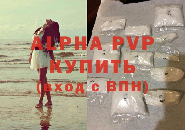 PSILOCYBIN Ладушкин