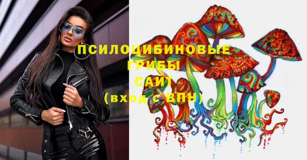 бошки Лабытнанги