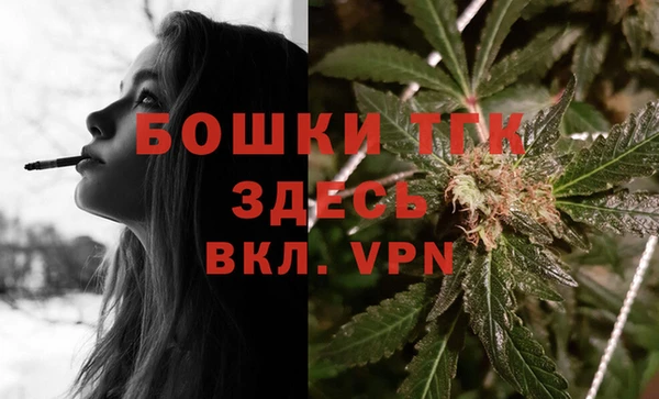 PSILOCYBIN Ладушкин